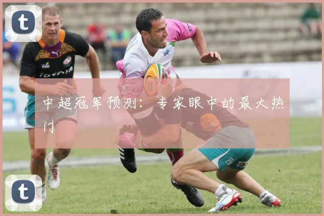 中超冠军预测：专家眼中的最大热门