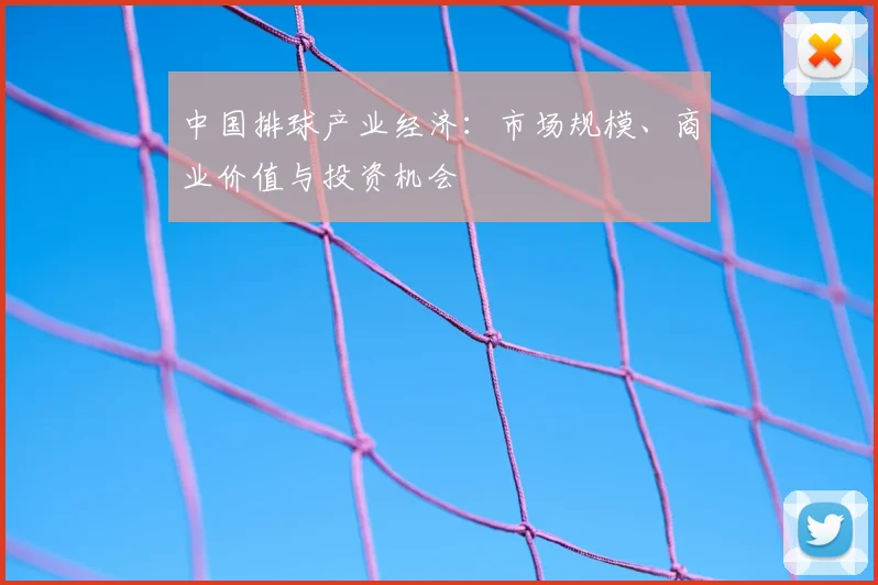 中国排球产业经济：市场规模、商业价值与投资机会